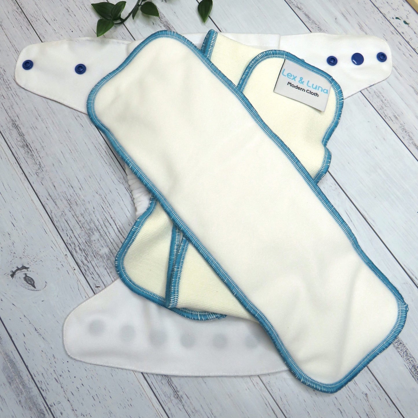 Feisty Lizards - Single Row Cloth Nappy