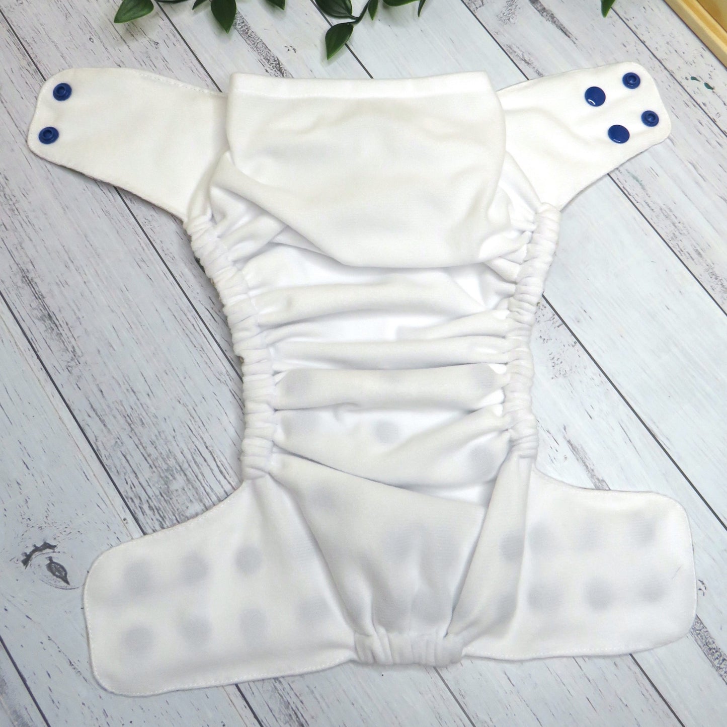 Feisty Lizards - Double Row Cloth Nappy